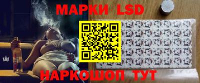 прущие грибы Донской