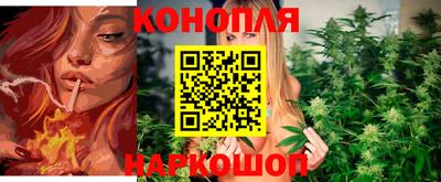 прущие грибы Донской