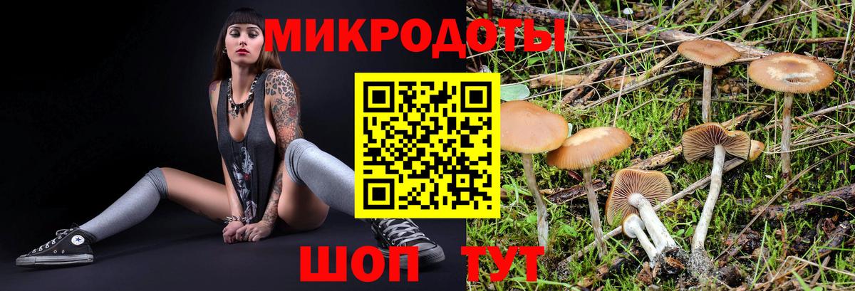 Псилоцибиновые грибы прущие грибы  Галлюциногенные грибы ЛСД  Вход с VPN  Черняховск 
